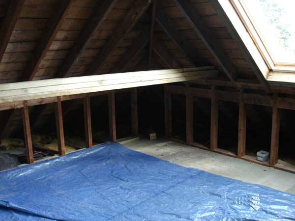 BM Building Services Attics